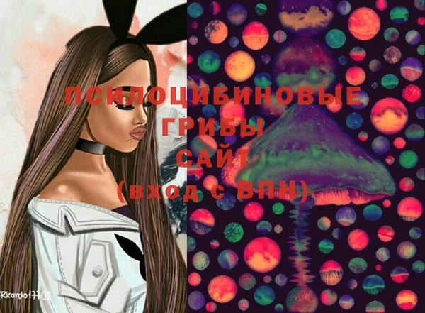 мет Аркадак