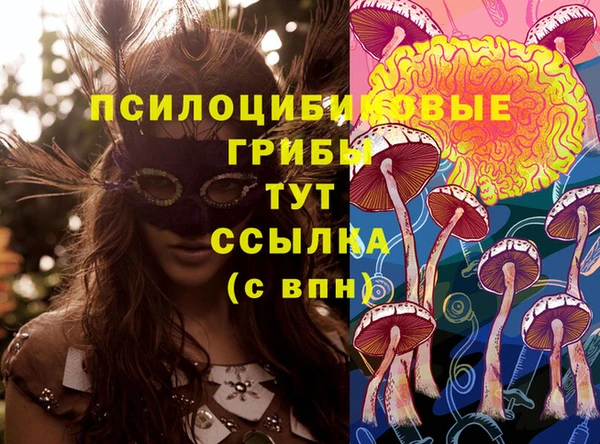 каннабис Арсеньев